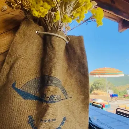 صن بيتش أجاكسيو