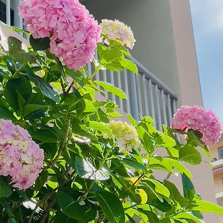 サン ビーチ ホテル 3*