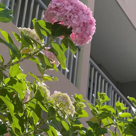 Hotel Sun
